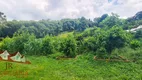 Foto 19 de Fazenda/Sítio com 2 Quartos à venda, 17000m² em Campestre da Faxina, São José dos Pinhais