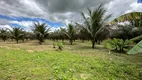 Foto 17 de Fazenda/Sítio à venda, 400m² em Ilha de Santa Rita, Marechal Deodoro