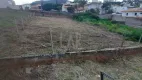 Foto 11 de Lote/Terreno à venda, 420m² em Belvedere, Belo Horizonte