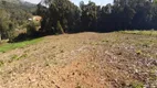 Foto 2 de Fazenda/Sítio com 1 Quarto à venda, 5800m² em Zona Rural, Contenda