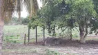Foto 4 de Fazenda/Sítio com 4 Quartos à venda, 27000m² em Trairas, Macaíba
