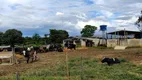 Foto 5 de Fazenda/Sítio à venda em Zona Rural, Buritis
