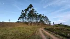 Foto 24 de Fazenda/Sítio com 2 Quartos à venda, 862000m² em , Presidente Nereu