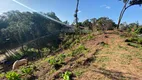 Foto 72 de Fazenda/Sítio com 3 Quartos à venda, 14900m² em Bonfim, Almirante Tamandaré