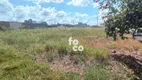 Foto 7 de Lote/Terreno à venda, 300m² em Novo Mundo, Uberlândia