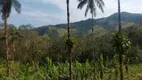 Foto 8 de Lote/Terreno à venda, 1000m² em Ponte Branca, Paraty