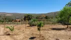 Foto 26 de Fazenda/Sítio com 5 Quartos à venda, 450000m² em Area Rural de Montes Claros, Montes Claros