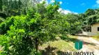 Foto 47 de Fazenda/Sítio com 3 Quartos à venda, 8482m² em Jacigua, Vargem Alta