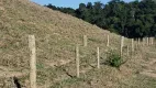 Foto 27 de Fazenda/Sítio com 5 Quartos à venda em Centro, Rio Novo do Sul