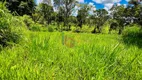 Foto 18 de Fazenda/Sítio com 2 Quartos à venda, 970000m² em Zona Rural, Itajuípe