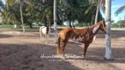 Foto 3 de Fazenda/Sítio com 4 Quartos à venda, 20000m² em Mangabeira, Macaíba