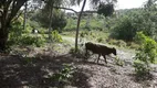 Foto 2 de Fazenda/Sítio com 3 Quartos à venda, 70000m² em Centro, Ceará Mirim