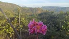 Foto 31 de Fazenda/Sítio com 1 Quarto à venda, 10m² em Zona Rural, Colinas do Sul