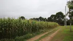 Foto 6 de Fazenda/Sítio com 3 Quartos à venda, 96000m² em Campo Largo da Roseira, São José dos Pinhais