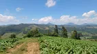 Foto 22 de Fazenda/Sítio com 2 Quartos à venda, 62000m² em Centro, Alfredo Wagner