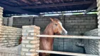 Foto 58 de Fazenda/Sítio com 5 Quartos à venda, 1000m² em , Nísia Floresta