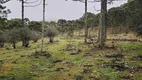 Foto 2 de Lote/Terreno à venda em Vacas Gordas, Urubici