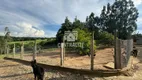 Foto 70 de Fazenda/Sítio com 3 Quartos à venda, 650m² em Piriquitos, Ponta Grossa