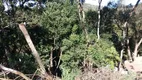 Foto 19 de Lote/Terreno à venda, 1100m² em Chácara Jaguari Fazendinha, Santana de Parnaíba