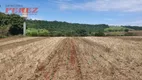 Foto 15 de Fazenda/Sítio com 1 Quarto à venda, 1210000m² em Zona Rural, Ibiporã