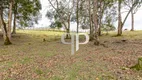 Foto 95 de Fazenda/Sítio com 3 Quartos à venda, 37000m² em , Campina Grande do Sul