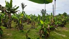 Foto 3 de Fazenda/Sítio com 2 Quartos à venda, 100m² em Nova Esperança, Porto Velho