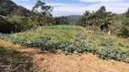 Foto 9 de Fazenda/Sítio à venda, 80000m² em , São Pedro de Alcântara