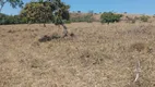 Foto 13 de Fazenda/Sítio com 5 Quartos à venda, 1600000m² em Area Rural do Gama, Brasília