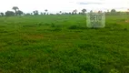 Foto 8 de Fazenda/Sítio à venda, 116950000m² em Zona Rural, Alvorada do Norte