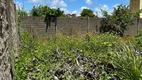 Foto 6 de Lote/Terreno à venda, 360m² em Praia do Frânces, Marechal Deodoro