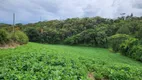 Foto 7 de Fazenda/Sítio à venda, 24200m² em Área Rural de Campo Largo, Campo Largo