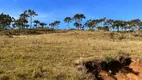 Foto 6 de Fazenda/Sítio à venda, 1300000m² em Zona Rural, Urubici