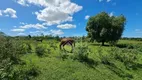 Foto 10 de Fazenda/Sítio com 2 Quartos à venda, 1000m² em Fazendinha, Araruama