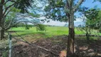 Foto 56 de Fazenda/Sítio com 3 Quartos para alugar, 6000m² em Area Rural de Uberlandia, Uberlândia