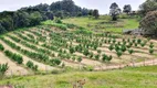 Foto 6 de Fazenda/Sítio com 2 Quartos à venda, 163000000m² em Campinho, Roca Sales