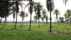 Foto 7 de Fazenda/Sítio com 2 Quartos à venda, 110000m² em Papucaia, Cachoeiras de Macacu