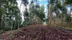 Foto 12 de Lote/Terreno à venda, 15000m² em Vila Germania, Nova Petrópolis