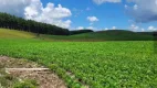 Foto 5 de Fazenda/Sítio à venda, 45000m² em Centro, São Francisco de Paula