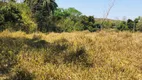 Foto 5 de Fazenda/Sítio à venda, 20000m² em Centro, Cordisburgo