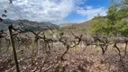 Foto 37 de Lote/Terreno à venda, 148000m² em Faria Lemos, Bento Gonçalves