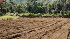 Foto 6 de Fazenda/Sítio com 4 Quartos à venda, 8832000m² em Centro, Porto União