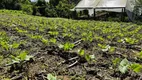 Foto 43 de Fazenda/Sítio à venda, 6300m² em Zona Rural, Tijucas do Sul