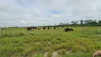 Foto 18 de Fazenda/Sítio à venda, 170000000m² em Setor Central, Santa Fé do Araguaia