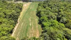 Foto 7 de Fazenda/Sítio com 1 Quarto à venda, 5000m² em Colônia Balbino Cunha, Campo Largo