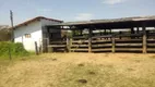 Foto 16 de Fazenda/Sítio com 4 Quartos à venda, 150m² em Zona Rural, Aragarças