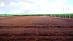 Foto 8 de Lote/Terreno para alugar, 7000m² em Recreio Anhangüera, Ribeirão Preto