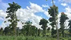 Foto 13 de Fazenda/Sítio à venda, 3000000m² em Zona Rural, Maceió