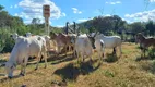 Foto 4 de Fazenda/Sítio com 2 Quartos à venda, 320000m² em Regiao dos Lagos, Brasília