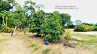 Foto 26 de Fazenda/Sítio à venda em Zona Rural, Iranduba