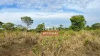 Foto 14 de Fazenda/Sítio à venda em Zona Rural, Porangatu